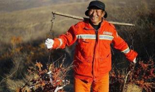 三种人不能吃沙棘 三种人不能吃沙棘