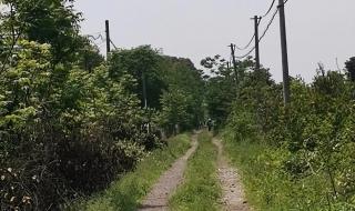 东钱湖南宋石刻公园